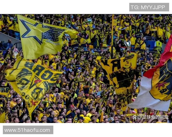 多特蒙德队员名单及其在德甲联赛中的表现分析与展望